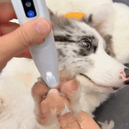 Paw trimmer – precision waterproof pet paw trimmer with LED light,SKU:564