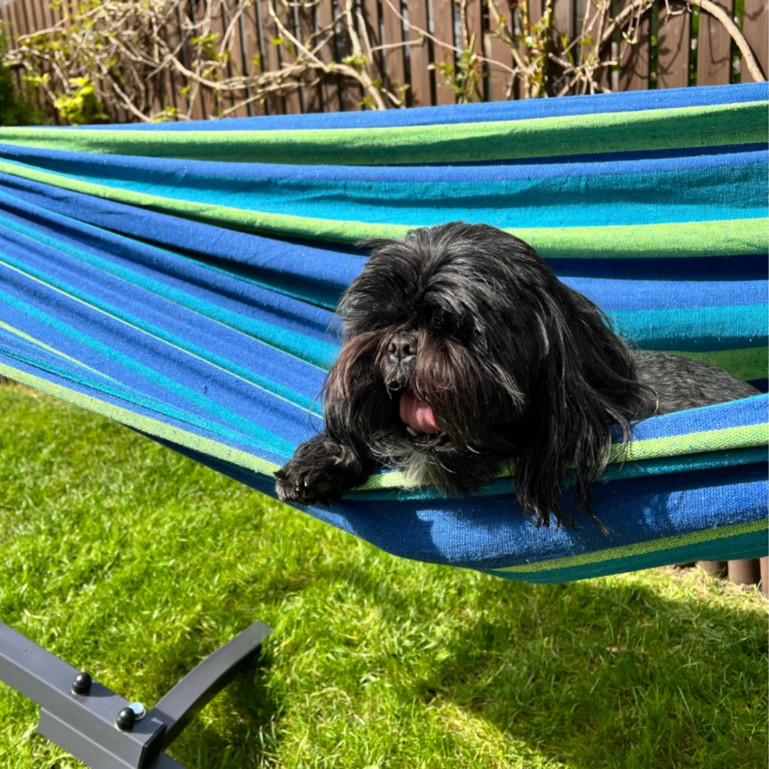 Cotton Hammock for Garden & Camping, SKU: 2159